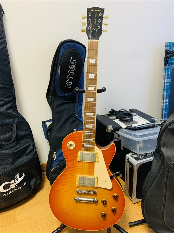 Edwards E-LP-108LTSの画像